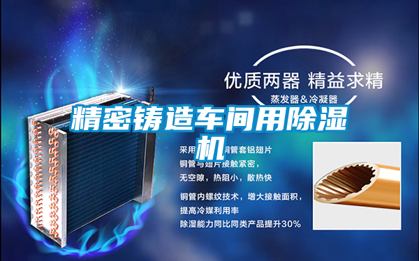 精密鑄造車(chē)間用除濕機(jī)