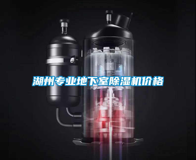 湖州專業(yè)地下室除濕機(jī)價(jià)格
