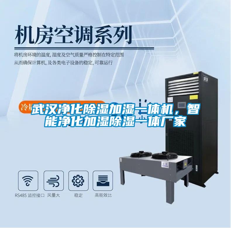 武漢凈化除濕加濕一體機，智能凈化加濕除濕一體廠家