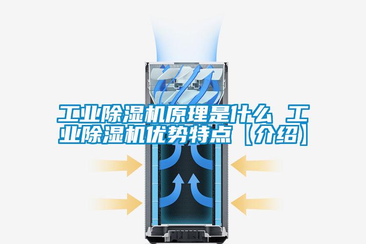 工業(yè)除濕機(jī)原理是什么 工業(yè)除濕機(jī)優(yōu)勢特點(diǎn)【介紹】