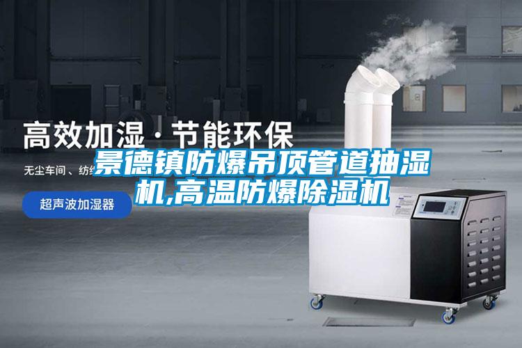 景德鎮(zhèn)防爆吊頂管道抽濕機,高溫防爆除濕機