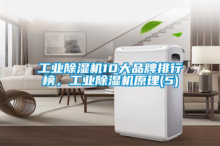 工業(yè)除濕機(jī)10大品牌排行榜，工業(yè)除濕機(jī)原理(5)