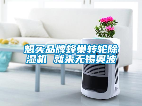 想買品牌蜂巢轉(zhuǎn)輪除濕機(jī) 就來(lái)無(wú)錫奧波