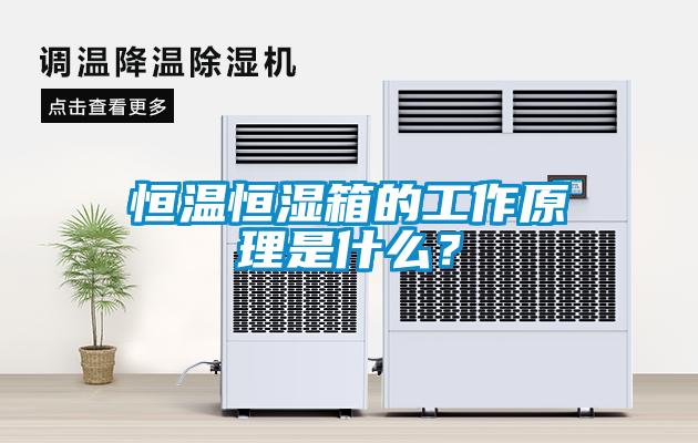 恒溫恒濕箱的工作原理是什么？
