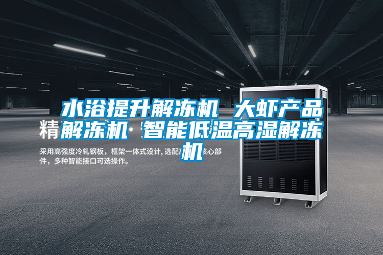 水浴提升解凍機(jī) 大蝦產(chǎn)品解凍機(jī) 智能低溫高濕解凍機(jī)