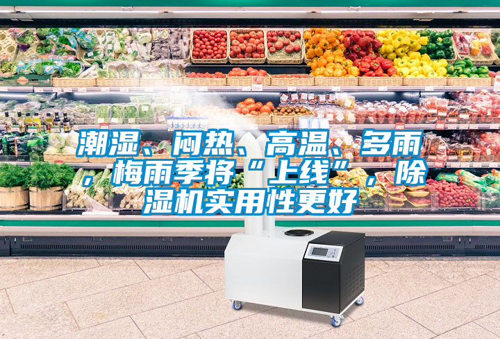 潮濕、悶熱、高溫、多雨，梅雨季將“上線”，除濕機實用性更好