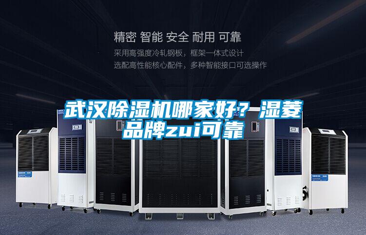 武漢除濕機哪家好？濕菱品牌zui可靠