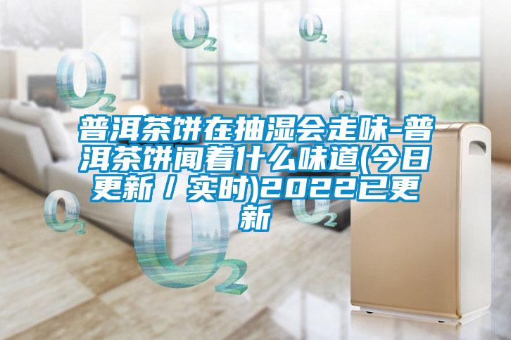 普洱茶餅在抽濕會走味-普洱茶餅聞著什么味道(今日更新／實(shí)時)2022已更新