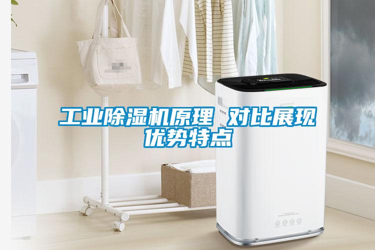 工業(yè)除濕機(jī)原理 對(duì)比展現(xiàn)優(yōu)勢(shì)特點(diǎn)