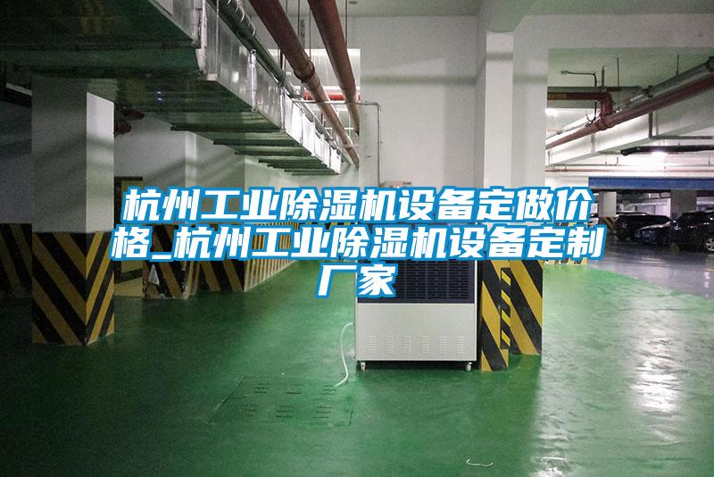 杭州工業(yè)除濕機設(shè)備定做價格_杭州工業(yè)除濕機設(shè)備定制廠家