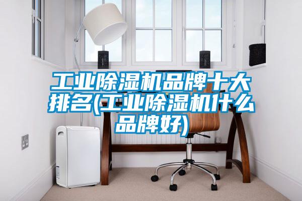 工業(yè)除濕機(jī)品牌十大排名(工業(yè)除濕機(jī)什么品牌好)