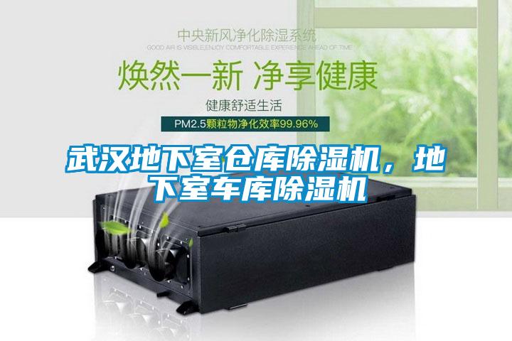 武漢地下室倉庫除濕機，地下室車庫除濕機