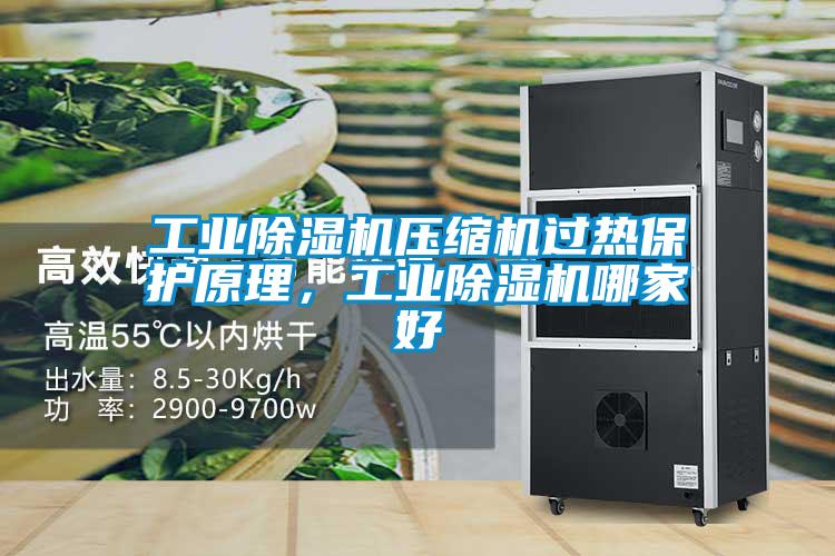 工業(yè)除濕機(jī)壓縮機(jī)過熱保護(hù)原理，工業(yè)除濕機(jī)哪家好