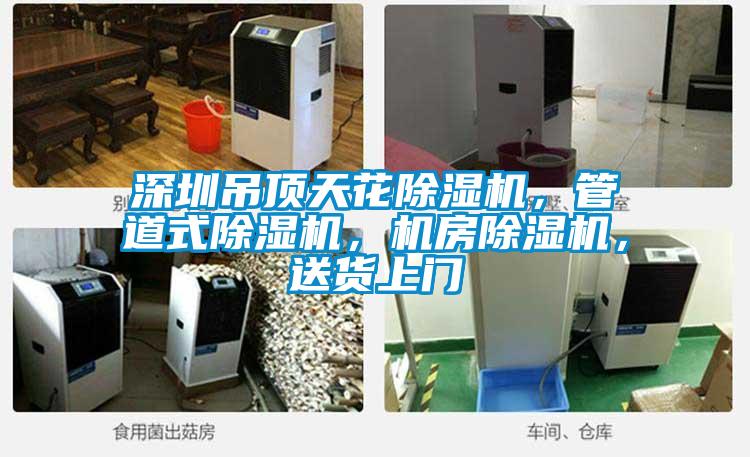 深圳吊頂天花除濕機(jī)，管道式除濕機(jī)，機(jī)房除濕機(jī)，送貨上門