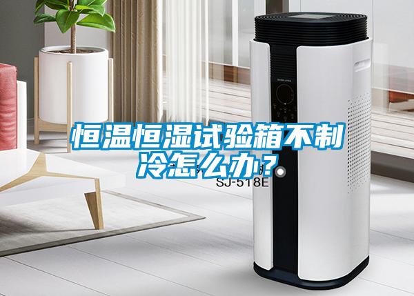恒溫恒濕試驗(yàn)箱不制冷怎么辦？