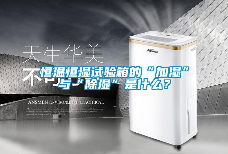 恒溫恒濕試驗(yàn)箱的“加濕”與“除濕”是什么？