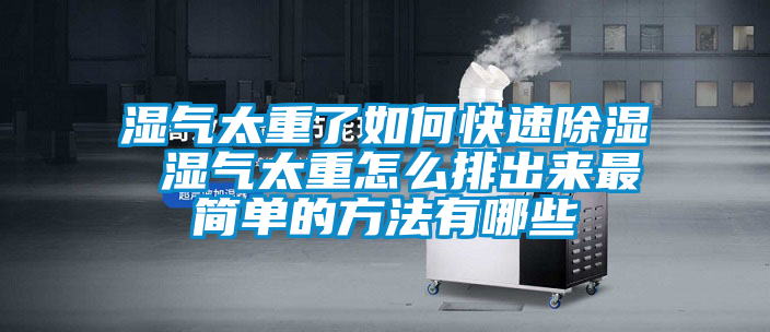 濕氣太重了如何快速除濕 濕氣太重怎么排出來最簡(jiǎn)單的方法有哪些