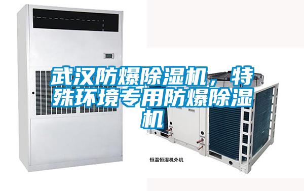 武漢防爆除濕機，特殊環(huán)境專用防爆除濕機
