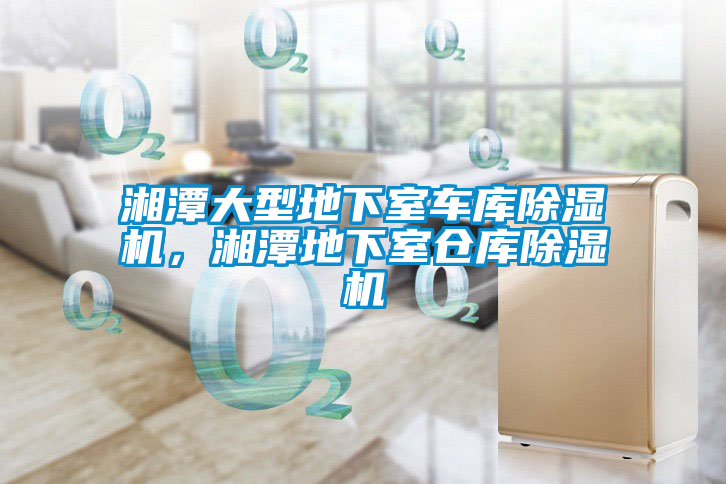 湘潭大型地下室車庫除濕機(jī)，湘潭地下室倉庫除濕機(jī)
