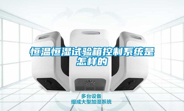 恒溫恒濕試驗箱控制系統(tǒng)是怎樣的