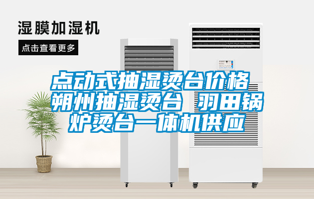 點(diǎn)動(dòng)式抽濕燙臺(tái)價(jià)格 朔州抽濕燙臺(tái) 羽田鍋爐燙臺(tái)一體機(jī)供應(yīng)