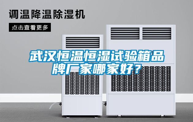 武漢恒溫恒濕試驗(yàn)箱品牌廠家哪家好？