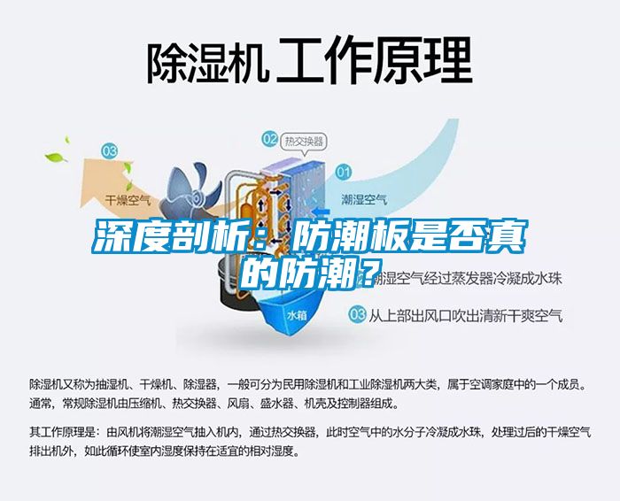 深度剖析：防潮板是否真的防潮？