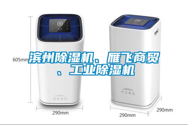 濱州除濕機、雁飛商貿(mào)、工業(yè)除濕機
