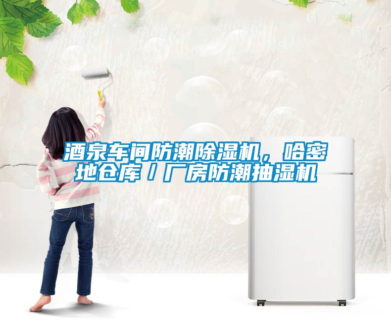 酒泉車間防潮除濕機(jī)，哈密地倉庫／廠房防潮抽濕機(jī)