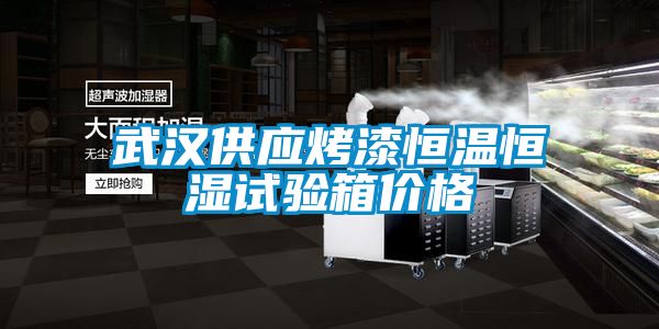 武漢供應(yīng)烤漆恒溫恒濕試驗箱價格