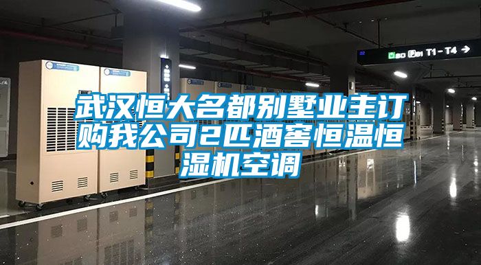 武漢恒大名都別墅業(yè)主訂購我公司2匹酒窖恒溫恒濕機空調(diào)