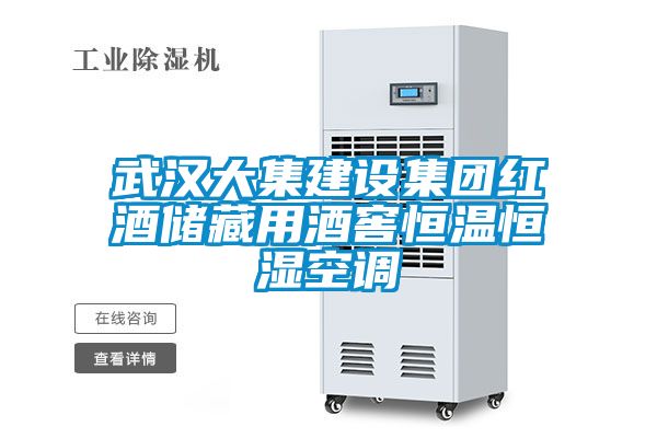 武漢大集建設(shè)集團(tuán)紅酒儲藏用酒窖恒溫恒濕空調(diào)