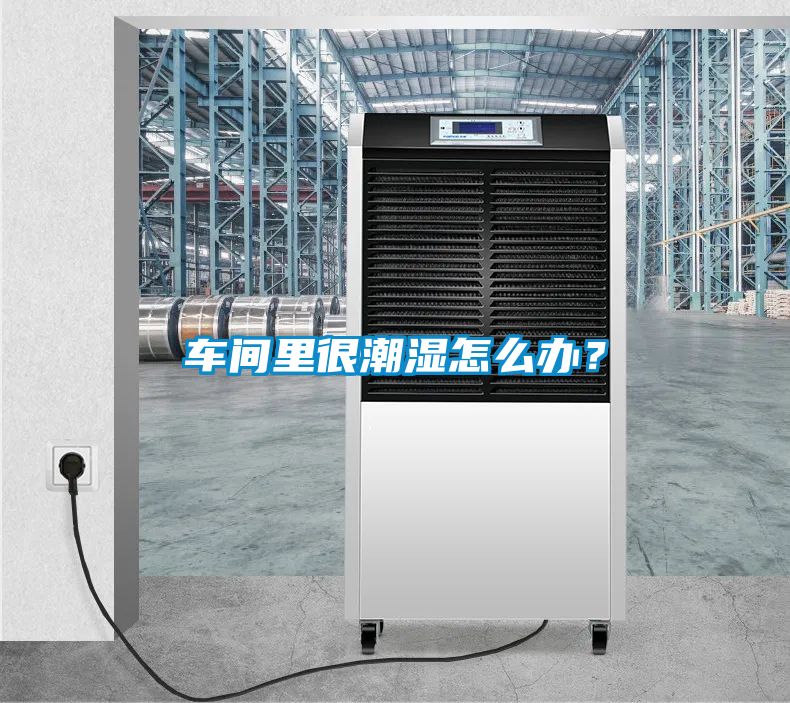 車間里很潮濕怎么辦？