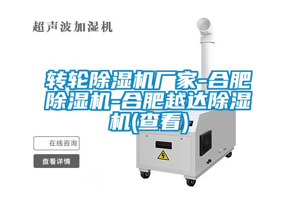 轉(zhuǎn)輪除濕機(jī)廠(chǎng)家-合肥除濕機(jī)-合肥越達(dá)除濕機(jī)(查看)