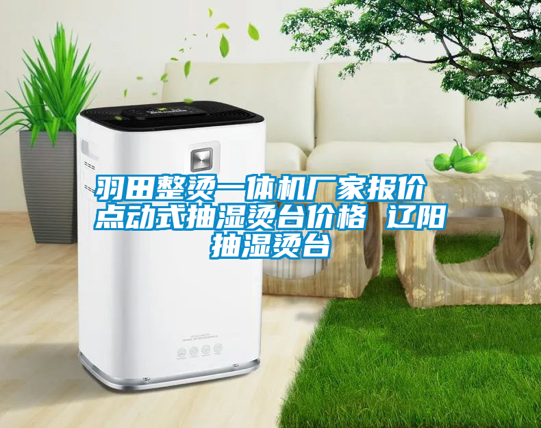 羽田整燙一體機(jī)廠家報(bào)價(jià) 點(diǎn)動(dòng)式抽濕燙臺(tái)價(jià)格 遼陽(yáng)抽濕燙臺(tái)