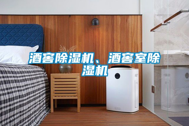 酒窖除濕機(jī)、酒窖室除濕機(jī)