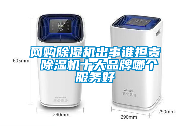 網(wǎng)購(gòu)除濕機(jī)出事誰(shuí)擔(dān)責(zé) 除濕機(jī)十大品牌哪個(gè)服務(wù)好