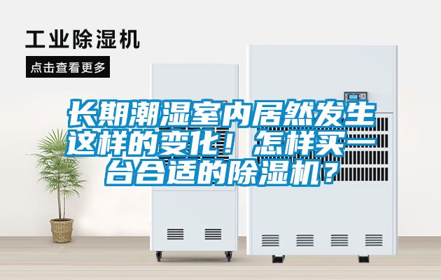 長期潮濕室內(nèi)居然發(fā)生這樣的變化！怎樣買一臺合適的除濕機？
