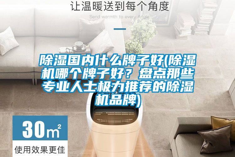 除濕國內(nèi)什么牌子好(除濕機哪個牌子好？盤點那些專業(yè)人士極力推薦的除濕機品牌)