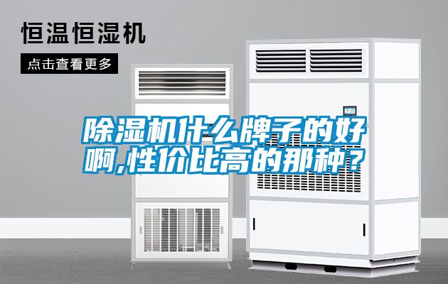 除濕機(jī)什么牌子的好啊,性價(jià)比高的那種？