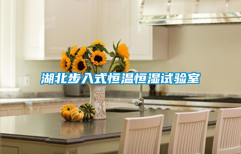 湖北步入式恒溫恒濕試驗室