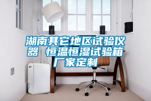 湖南其它地區(qū)試驗(yàn)儀器 恒溫恒濕試驗(yàn)箱廠家定制