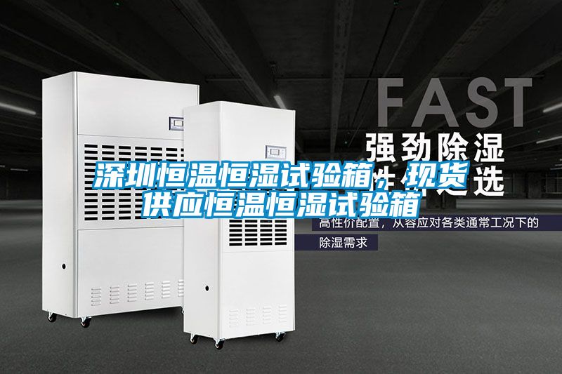 深圳恒溫恒濕試驗箱，現(xiàn)貨供應(yīng)恒溫恒濕試驗箱