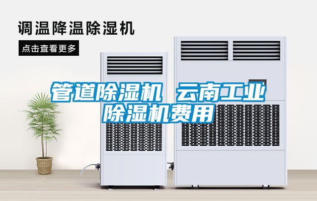 管道除濕機(jī) 云南工業(yè)除濕機(jī)費用
