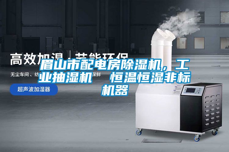 眉山市配電房除濕機，工業(yè)抽濕機  恒溫恒濕非標機器