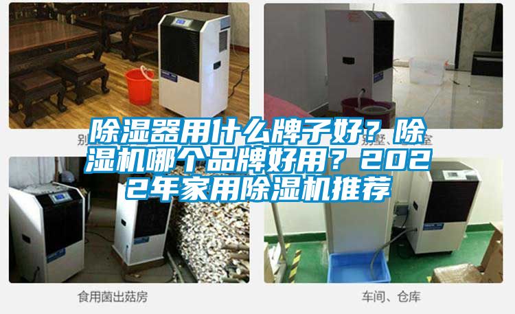 除濕器用什么牌子好？除濕機(jī)哪個(gè)品牌好用？2022年家用除濕機(jī)推薦