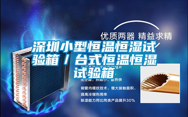 深圳小型恒溫恒濕試驗(yàn)箱／臺(tái)式恒溫恒濕試驗(yàn)箱