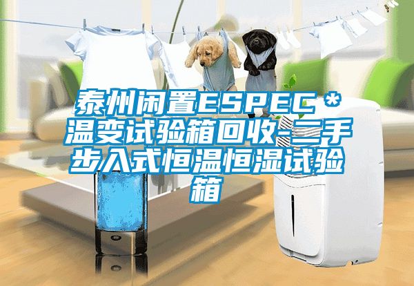 泰州閑置ESPEC＊溫變?cè)囼?yàn)箱回收-二手步入式恒溫恒濕試驗(yàn)箱