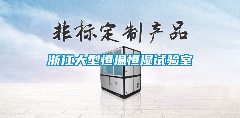 浙江大型恒溫恒濕試驗(yàn)室