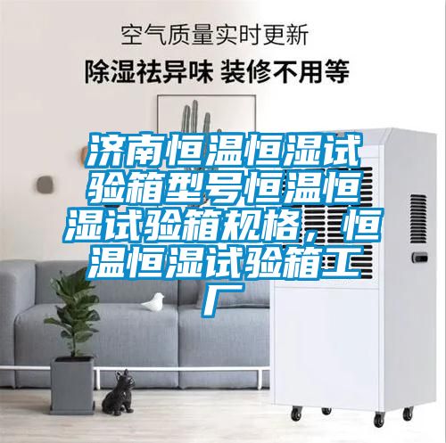 濟(jì)南恒溫恒濕試驗(yàn)箱型號恒溫恒濕試驗(yàn)箱規(guī)格，恒溫恒濕試驗(yàn)箱工廠